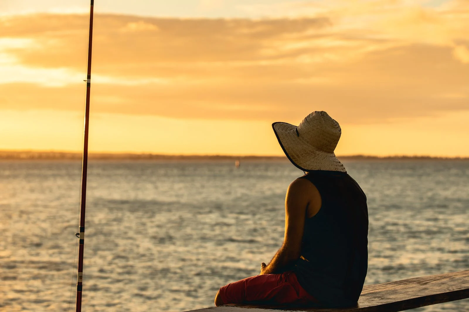 Moteur traîne Soldes 3 Moteur traîne Soldes -Moteur traîne Soldes pexels photo 8709944